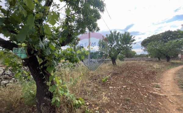 appartamento in vendita a Santeramo in Colle