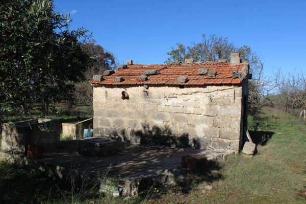 terreno agricolo in vendita a Santeramo in Colle