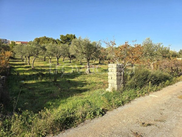 terreno agricolo in vendita a Santeramo in Colle