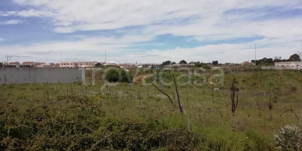 immagine annuncio 0 di 10