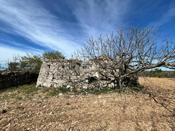 appartamento in vendita a Santeramo in Colle