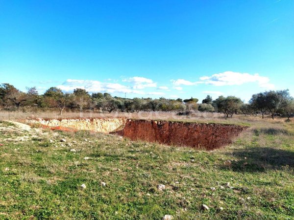 casa indipendente in vendita a Santeramo in Colle