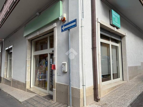 appartamento in vendita a Santeramo in Colle