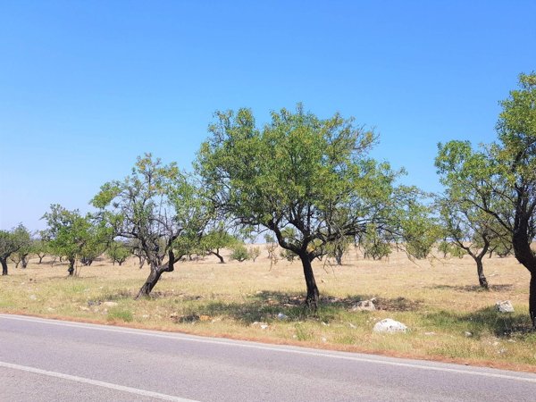 casale in vendita a Santeramo in Colle