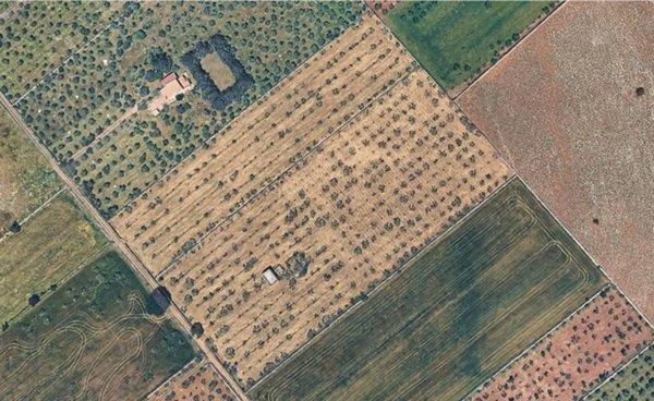 terreno agricolo in vendita a Santeramo in Colle