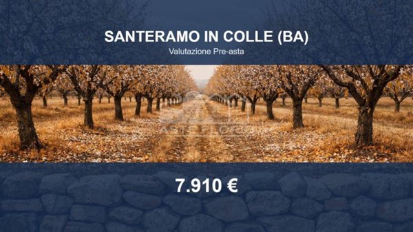 terreno agricolo in vendita a Santeramo in Colle