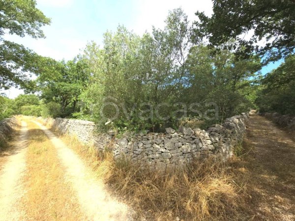 terreno agricolo in vendita a Santeramo in Colle