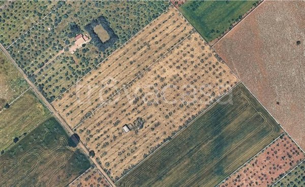 terreno agricolo in vendita a Santeramo in Colle