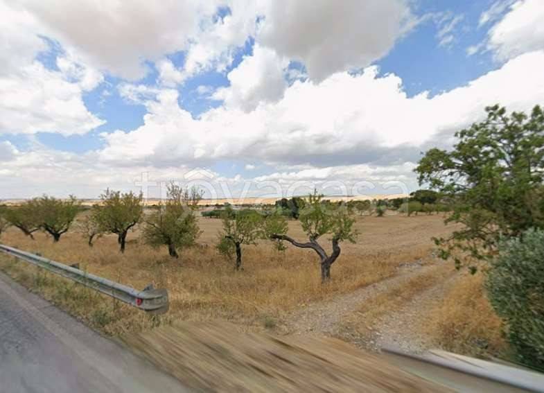terreno agricolo in vendita a Santeramo in Colle