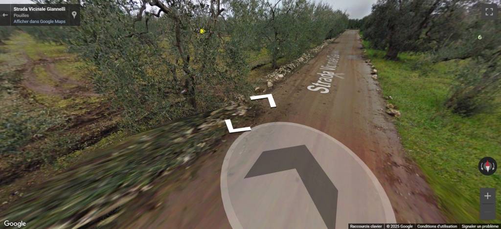 terreno agricolo in vendita a Terlizzi