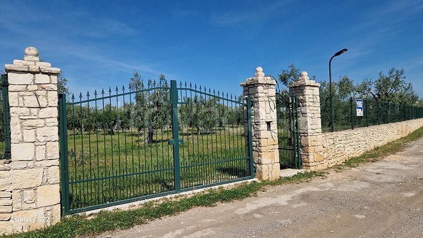 terreno agricolo in vendita a Terlizzi