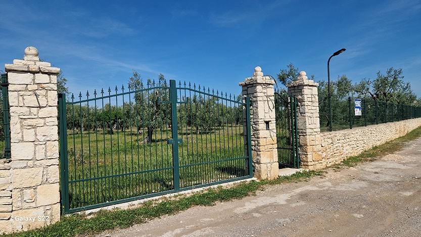terreno agricolo in vendita a Terlizzi