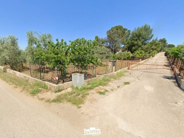 casa indipendente in vendita a Terlizzi