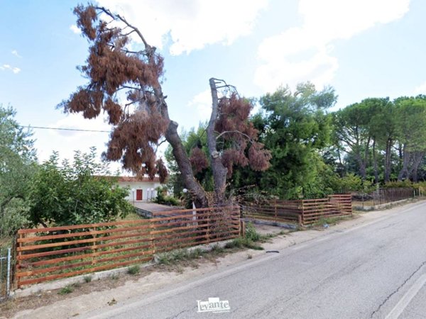 casa indipendente in vendita a Terlizzi
