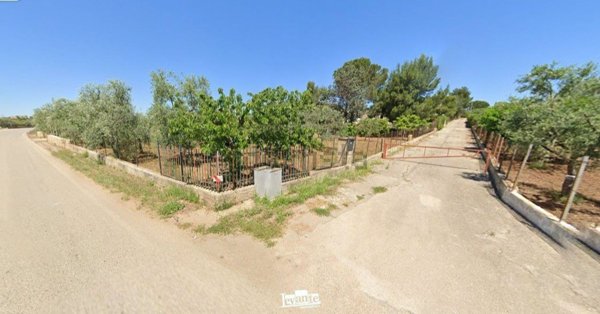 appartamento in vendita a Terlizzi