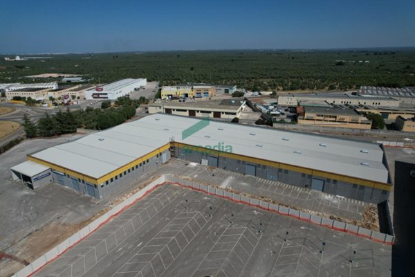 appartamento in vendita a Terlizzi