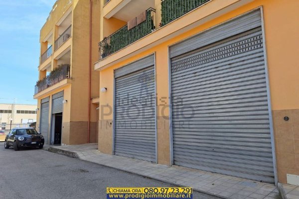 appartamento in vendita a Terlizzi