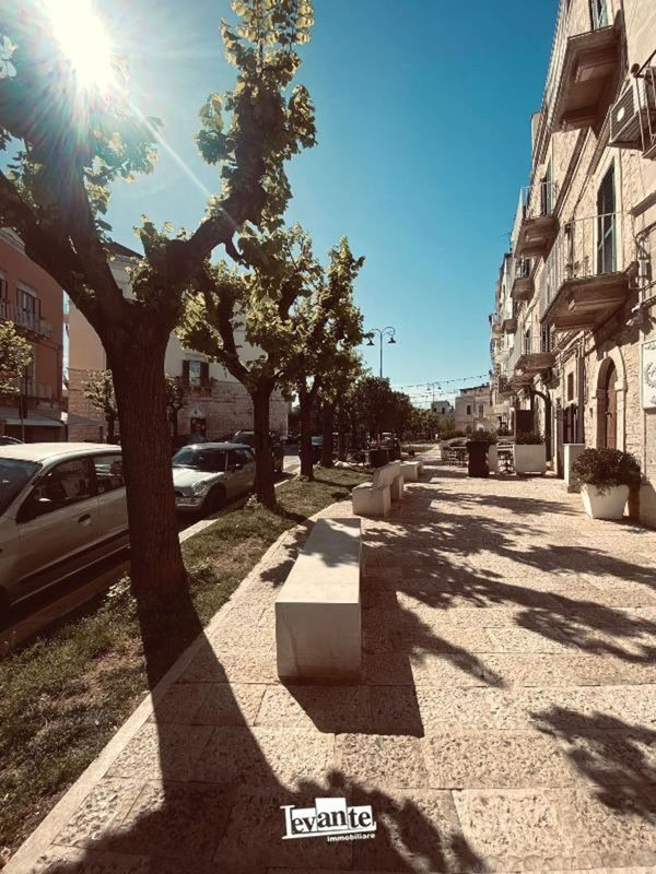 appartamento in vendita a Terlizzi