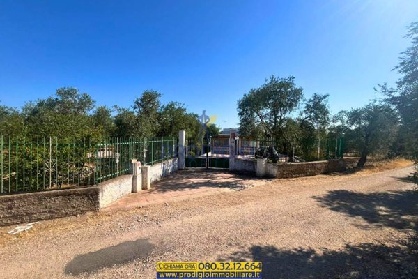 casa indipendente in vendita a Terlizzi