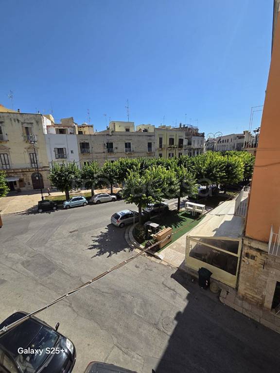 appartamento in vendita a Terlizzi