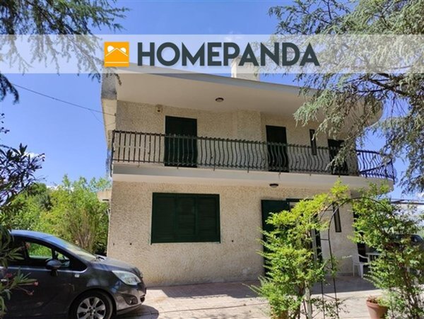 casa indipendente in vendita a Terlizzi