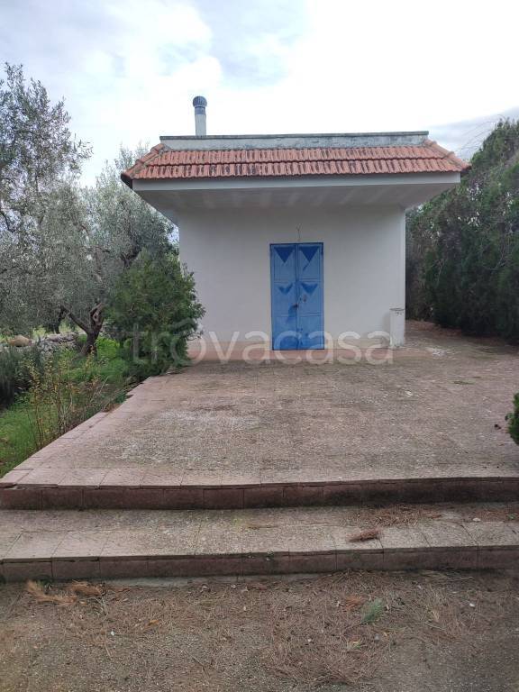 casa indipendente in vendita a Terlizzi