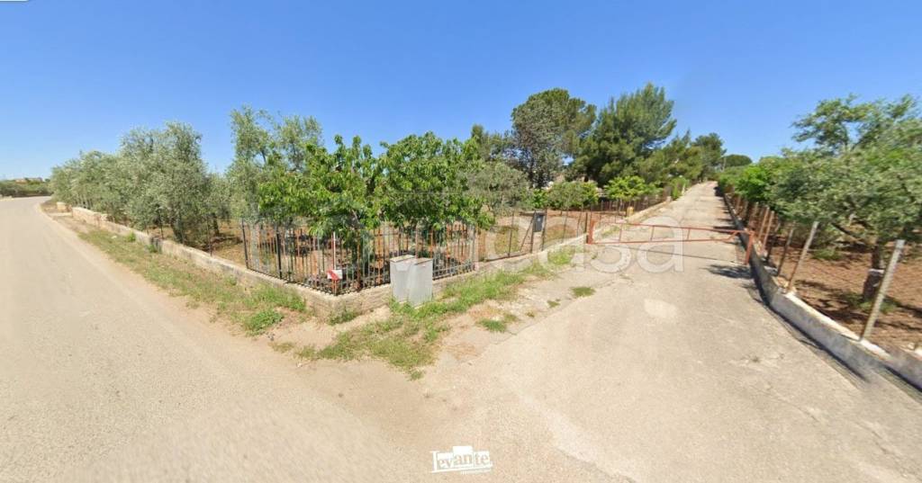 casa indipendente in vendita a Terlizzi