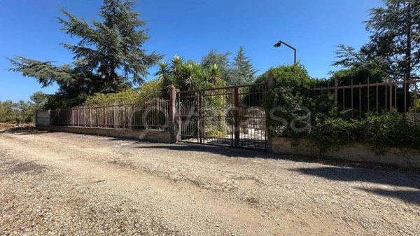 casa indipendente in vendita a Terlizzi