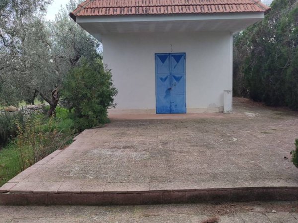 casa indipendente in vendita a Terlizzi