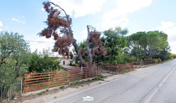 casa indipendente in vendita a Terlizzi