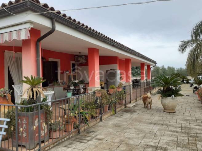 casa indipendente in vendita a Terlizzi