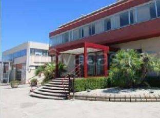 capannone in vendita a Terlizzi