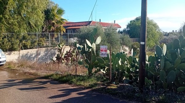 terreno agricolo in vendita a Terlizzi