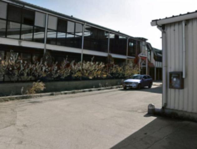 pentavano in vendita a Terlizzi