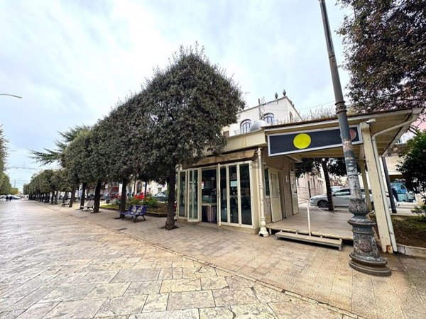 casa indipendente in vendita a Terlizzi
