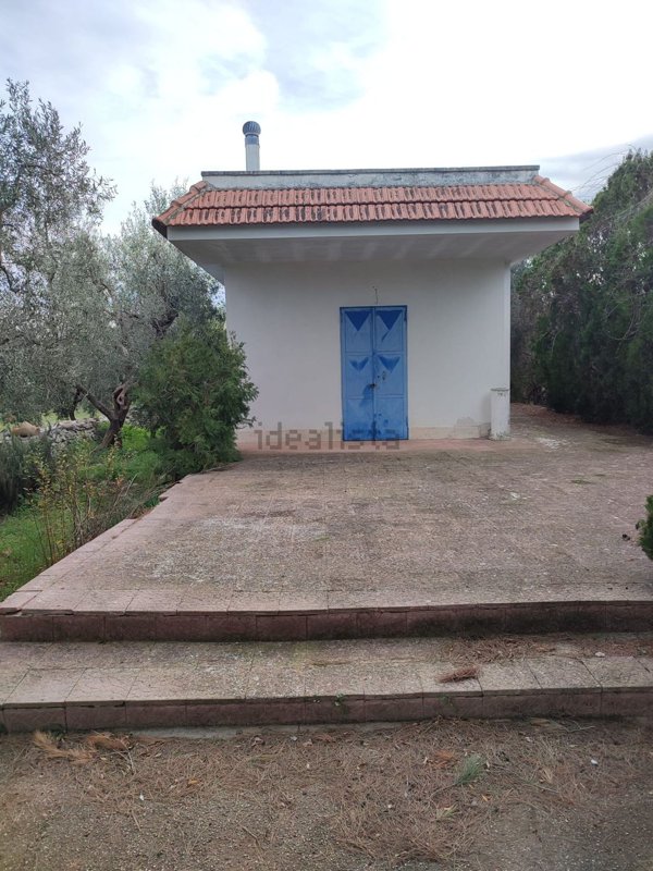 casa indipendente in vendita a Terlizzi