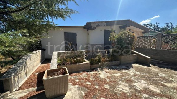 casa indipendente in vendita a Terlizzi