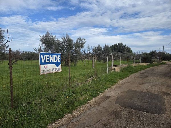 terreno agricolo in vendita a Terlizzi
