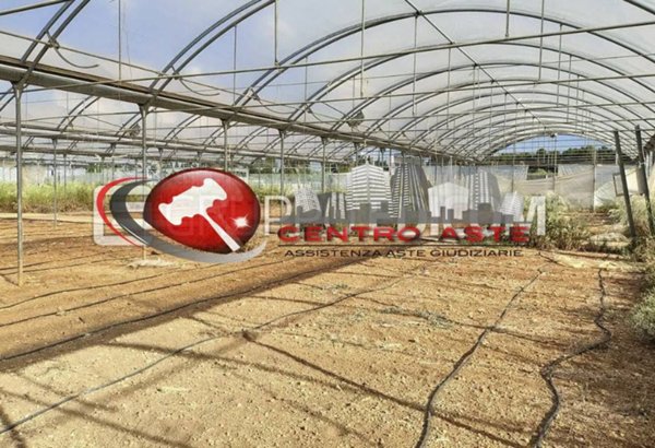 terreno agricolo in vendita a Terlizzi