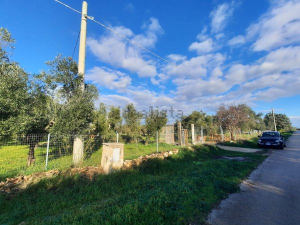 casa indipendente in vendita a Terlizzi