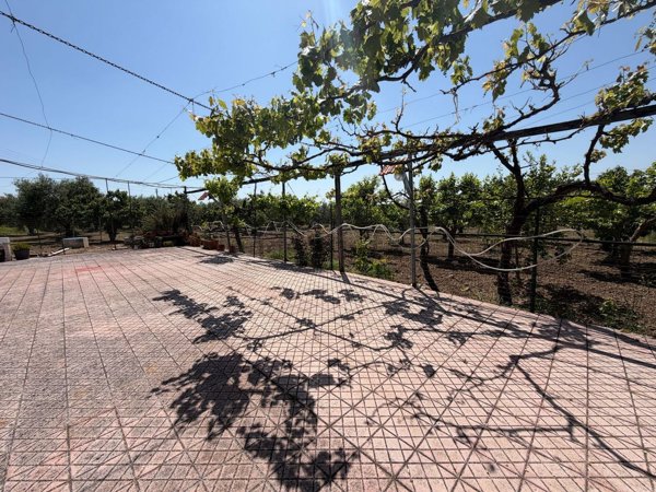 appartamento in vendita a Terlizzi