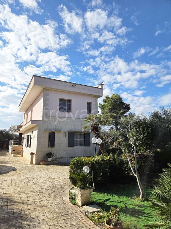 casa indipendente in vendita a Terlizzi