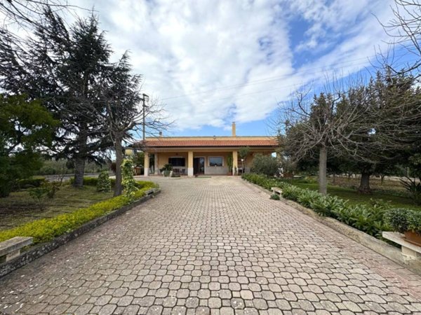 casa indipendente in vendita a Terlizzi