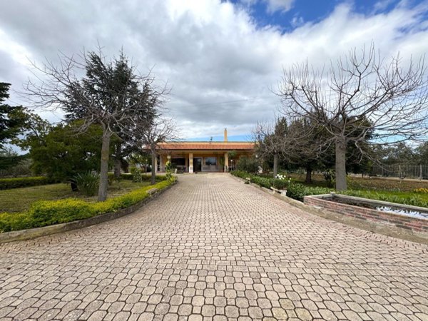 casa indipendente in vendita a Terlizzi