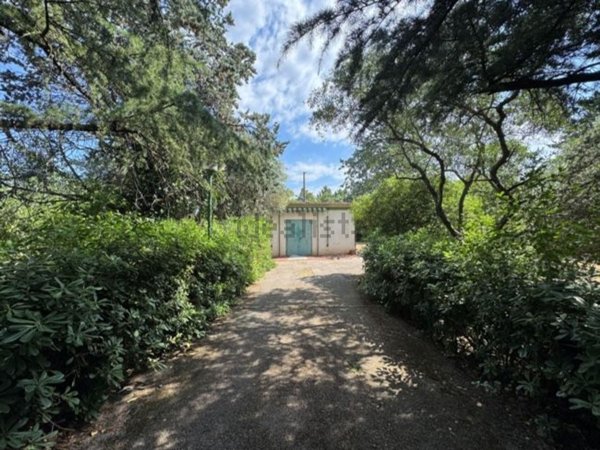 casa indipendente in vendita a Terlizzi in zona Sovereto