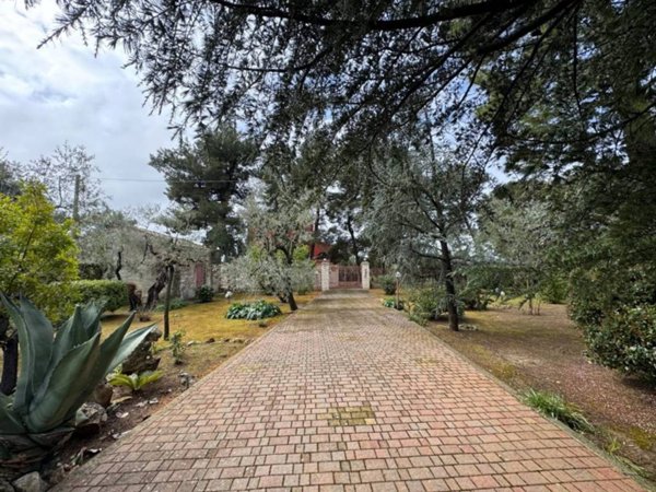casa indipendente in vendita a Terlizzi