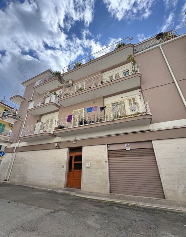 appartamento in vendita a Terlizzi