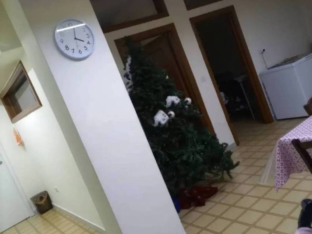 appartamento in vendita a Toritto in zona Quasano