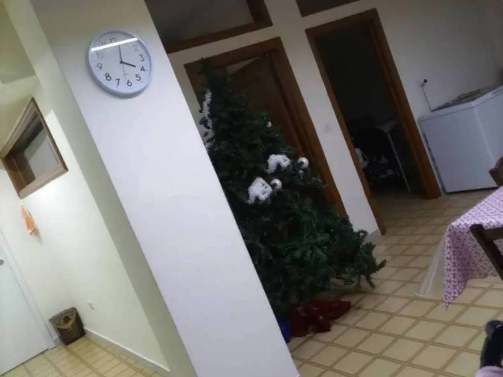 appartamento in vendita a Toritto in zona Quasano