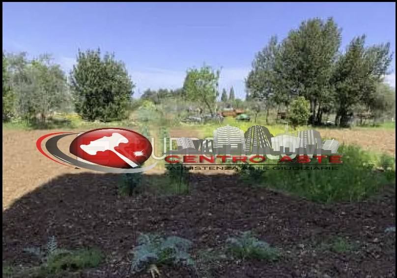 terreno agricolo in vendita a Toritto